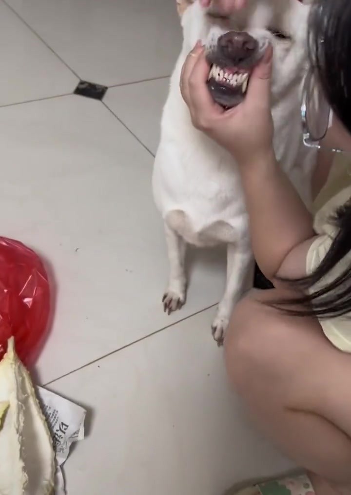 嗯？这味道！对上了！