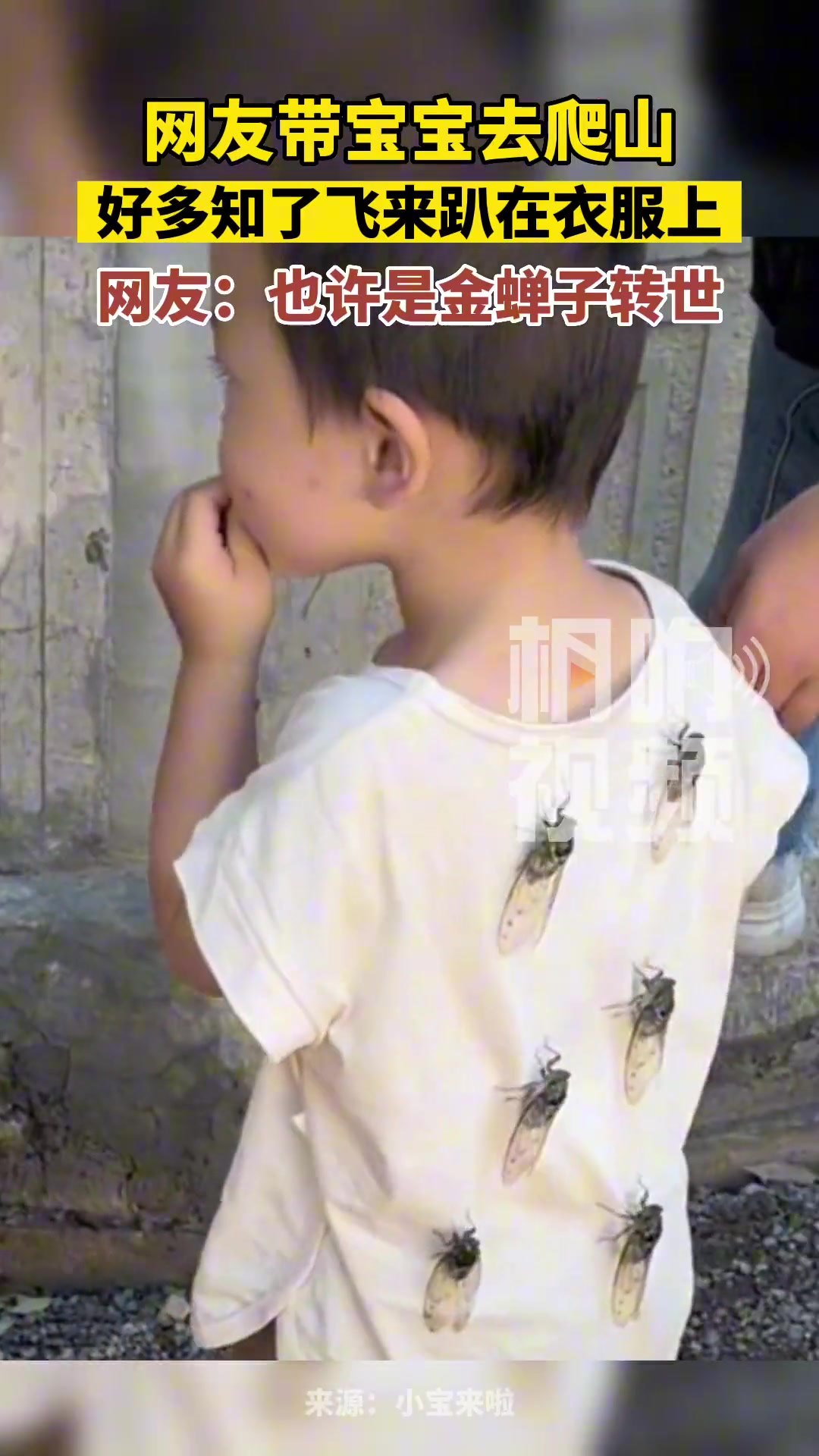 这应该是放上去的吧？