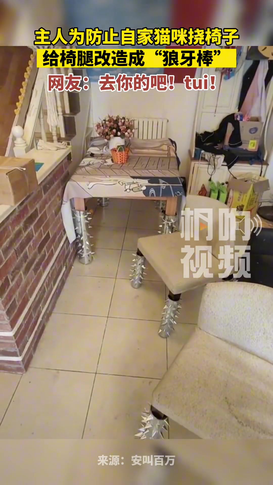 主人为防止自家猫咪挠椅子，给椅腿改造成“狼牙棒”