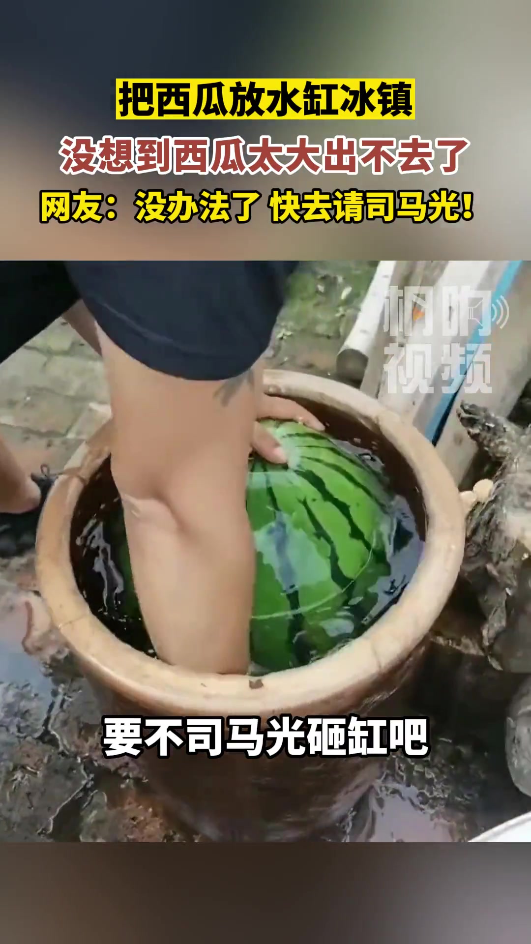 把西瓜放水缸冰镇后，没想到西瓜太大出不去了