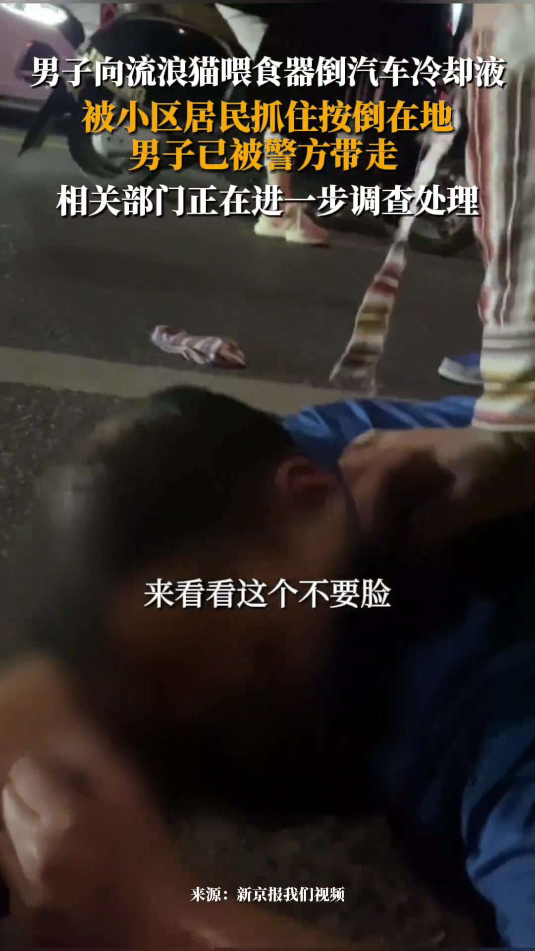男子将汽车冷却液倒进野猫盆 被小区居民抓住按倒在地