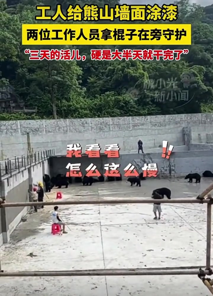 这辈子有没有为自己拼过命？----漆工