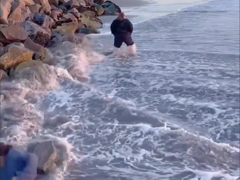 任凭狂风大浪，我自安然不动