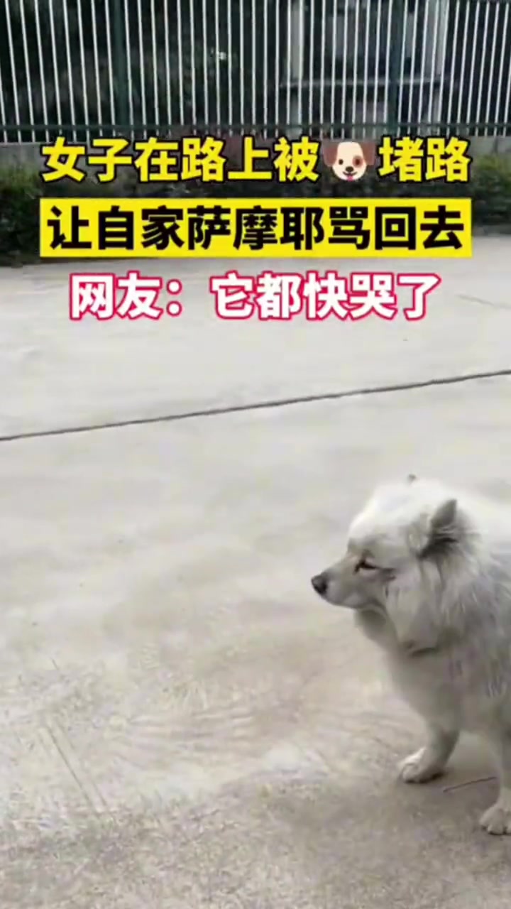 对面骂的真难听，脸都黑了