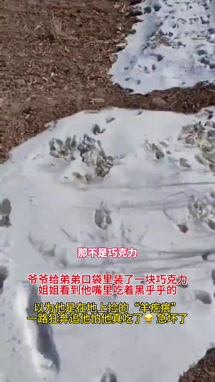 姐姐追了一路，生怕弟弟吃错了