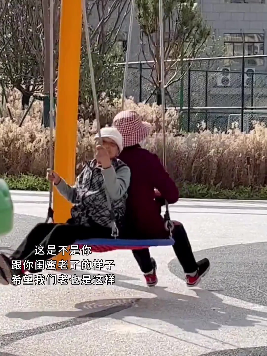 致敬老了的样子