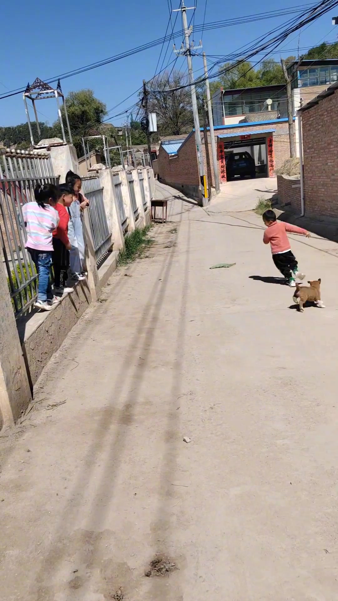 美好时光 童趣 ！