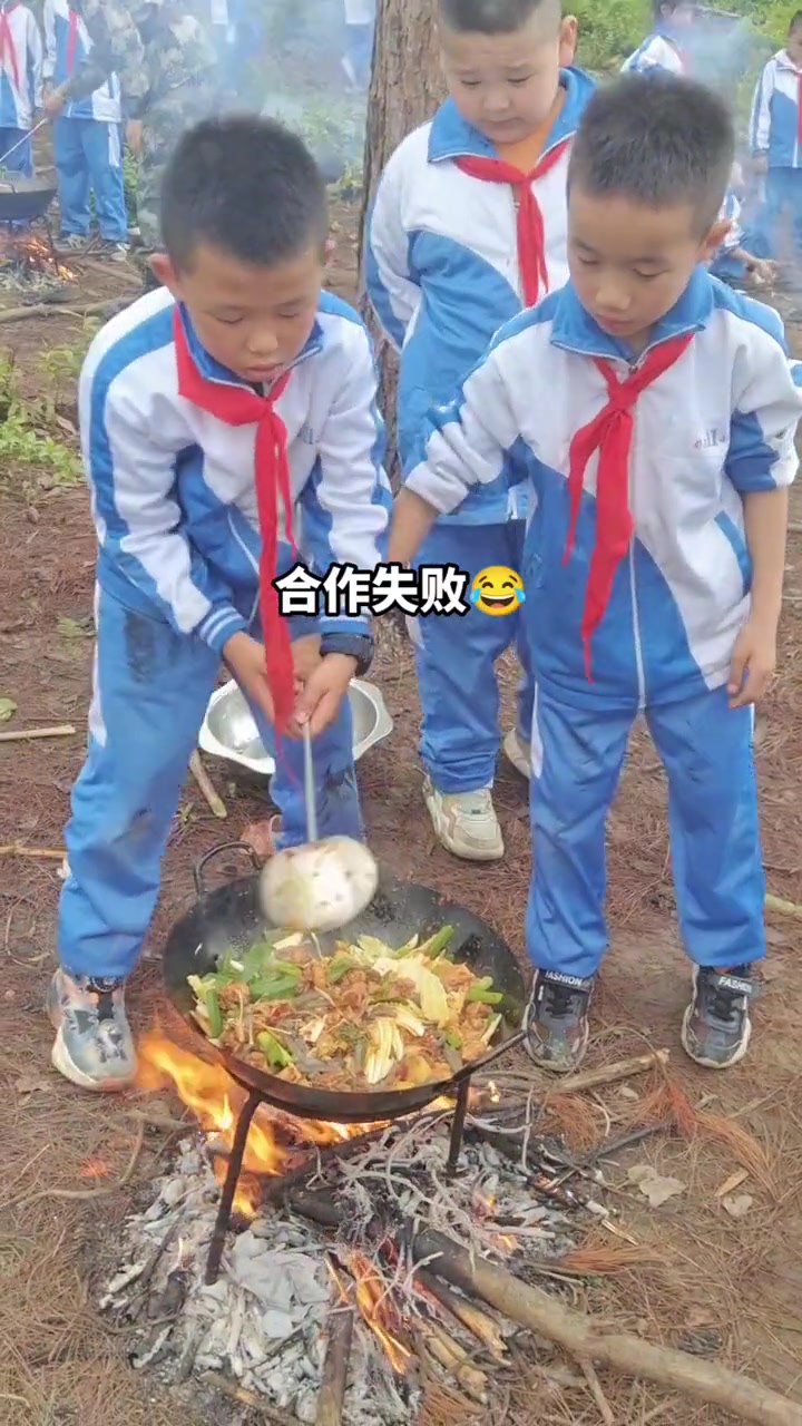 可惜了这一盆菜，十支腿也架不住往地上杵