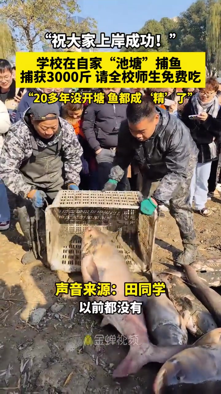 学校组织师生下塘捕获3000斤鱼，请全校师生免费吃