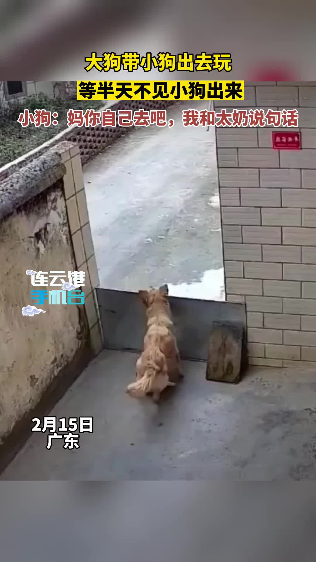 妈你自己去吧，我和太奶说句话！