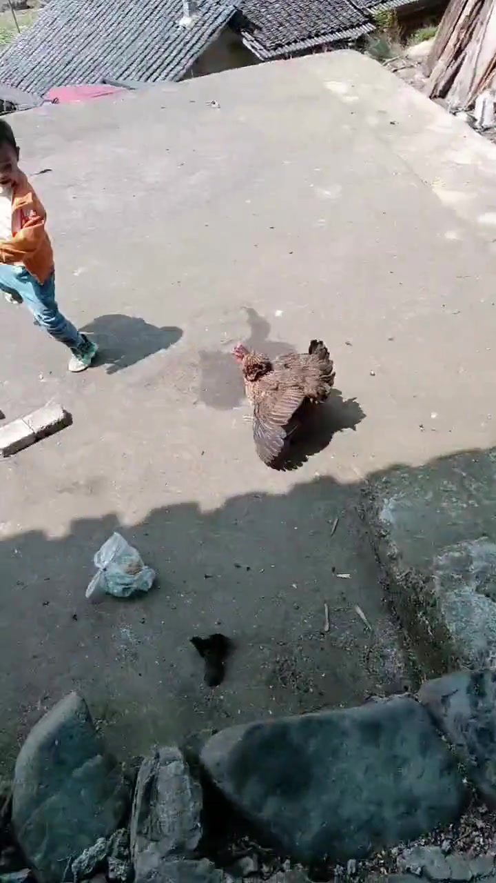 你说你没事惹它干嘛？