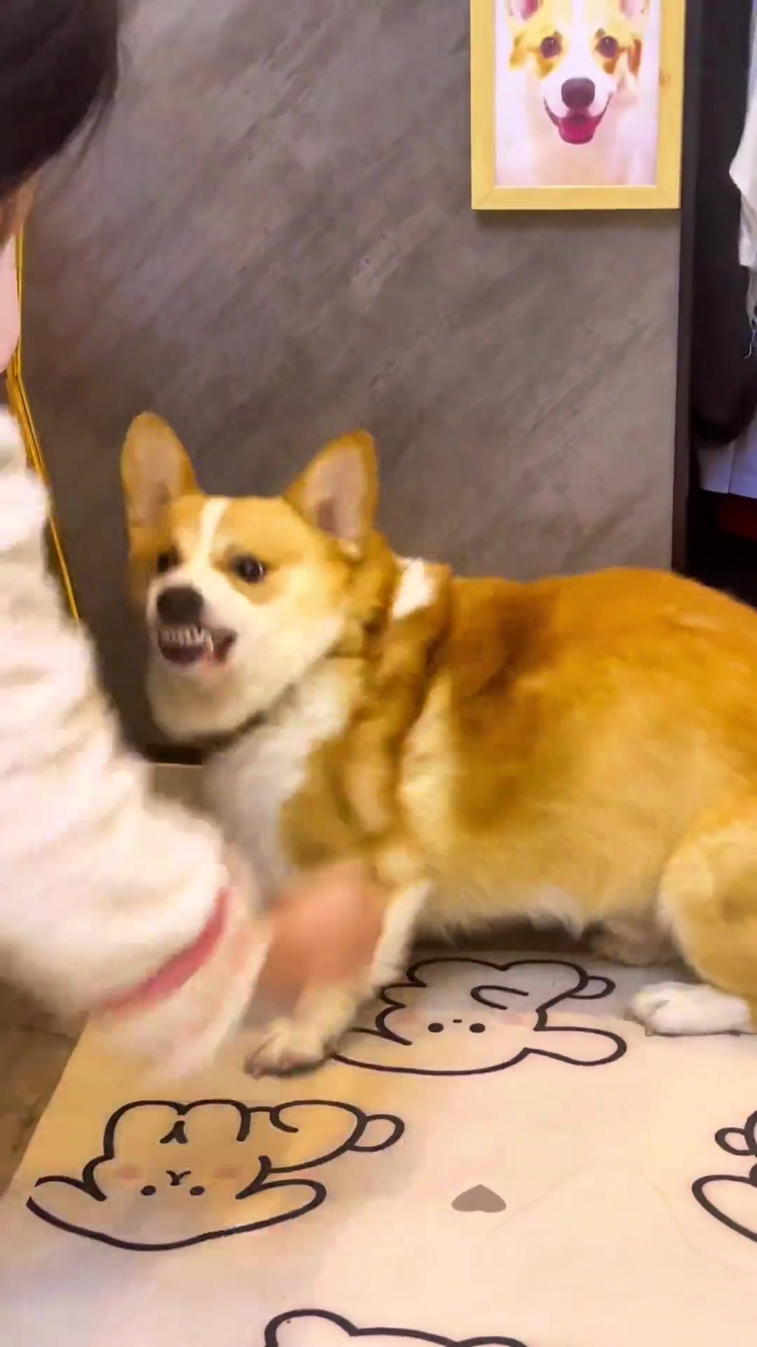 狗呲牙，就该打！
