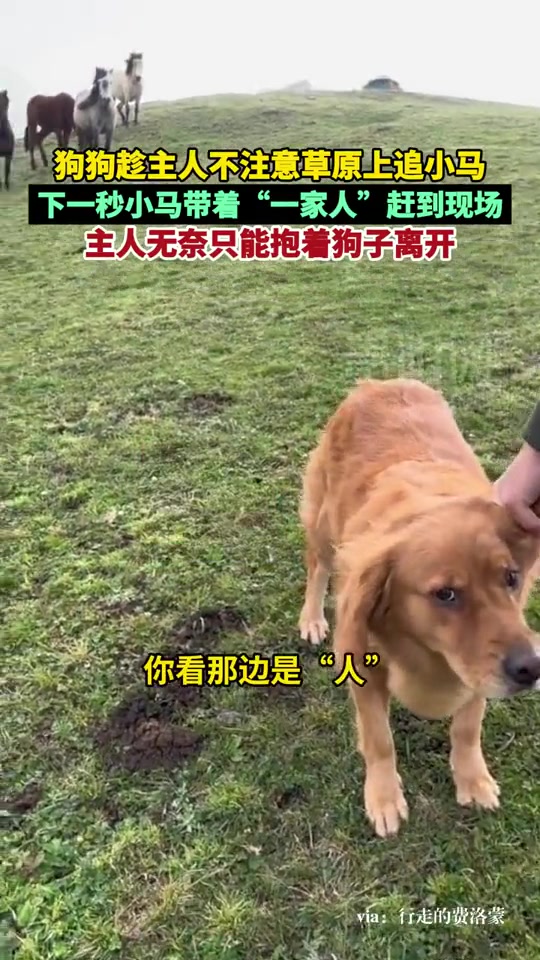 就你叫夏洛啊！