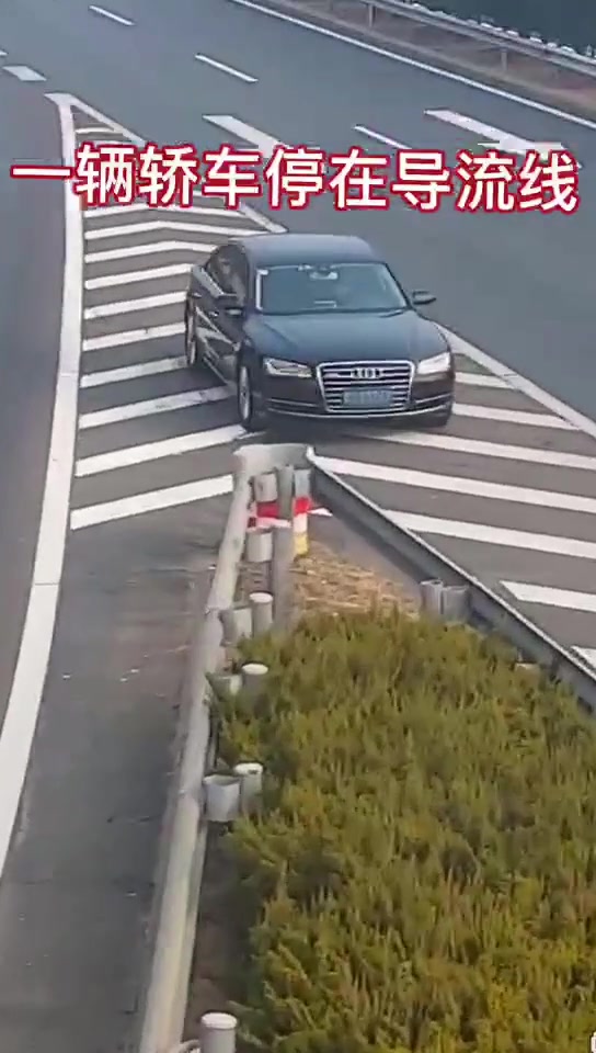 奥迪在高速分叉路上停车！竟然是为了吃东西？这扣几分