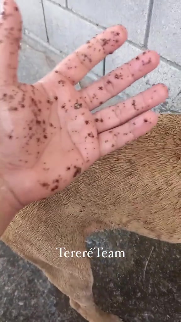 想拿特效吓哥们是吧！吧友们看的出来吗？