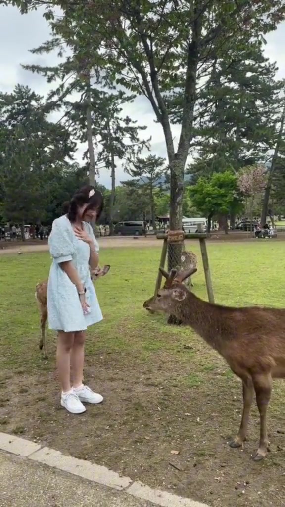 小姐姐是怎么说服鹿跟她鞠躬的