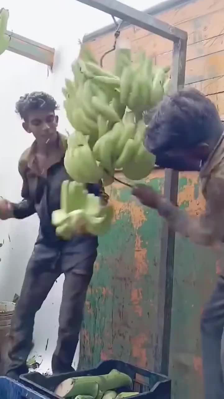 香蕉皇帝？