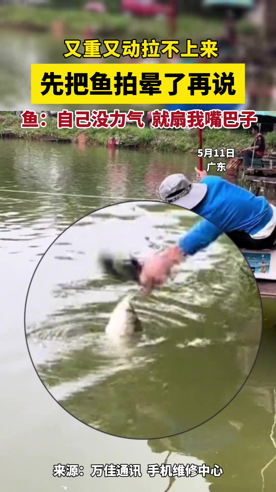 上美式抄网！