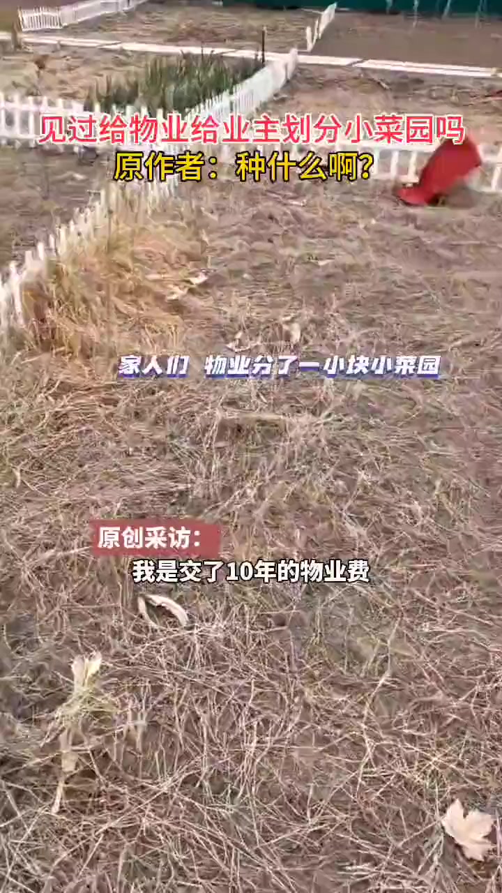 物业直接省了绿化费用！