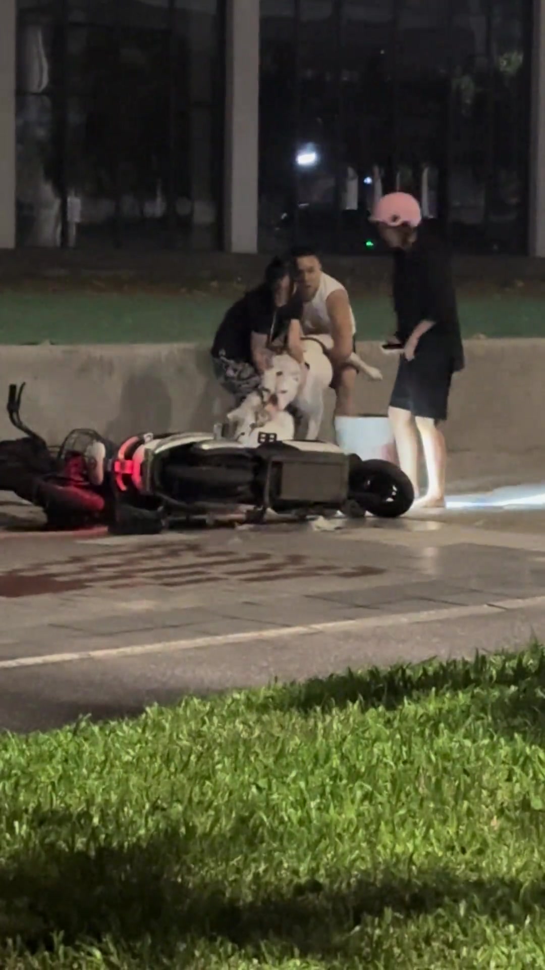 太可怕了！被不牵绳的烈犬撕咬 这夫妻快崩溃了