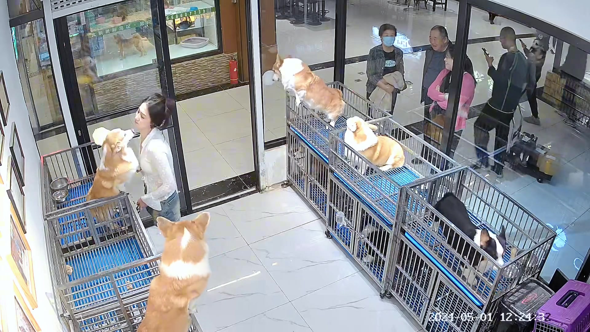 有没有那么一瞬间~感觉活得不如狗...