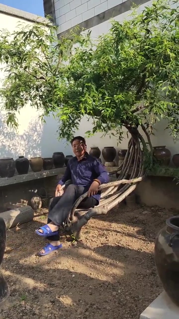 我的院子里要有一棵这样的树我会爽死