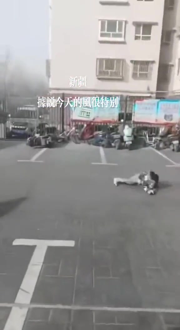 风：今天这月老我当定了
