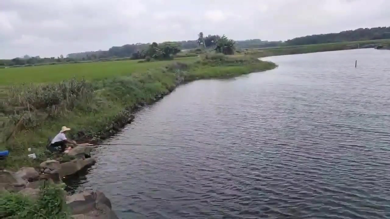 鱼：穿越了，就在一瞬间