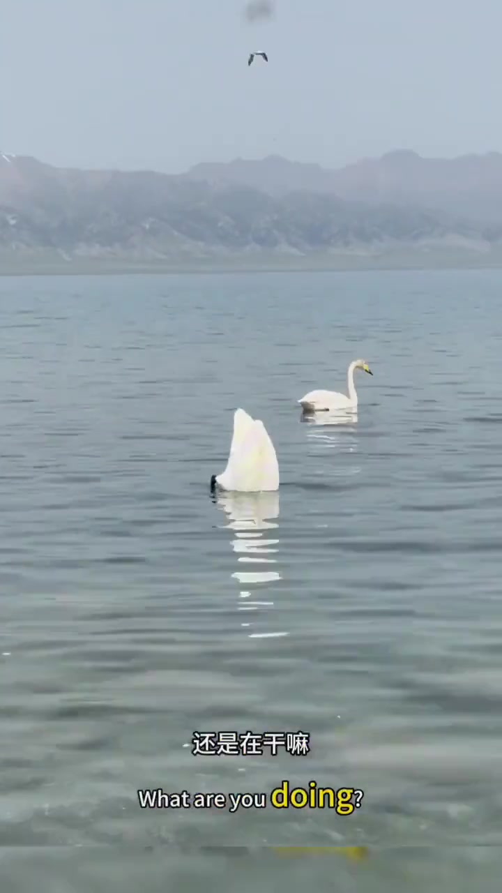 像不像你那贱兮兮来偷袭你的朋友？
