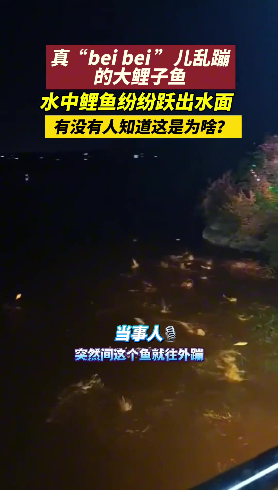 不懂就问 这是咋啦？
