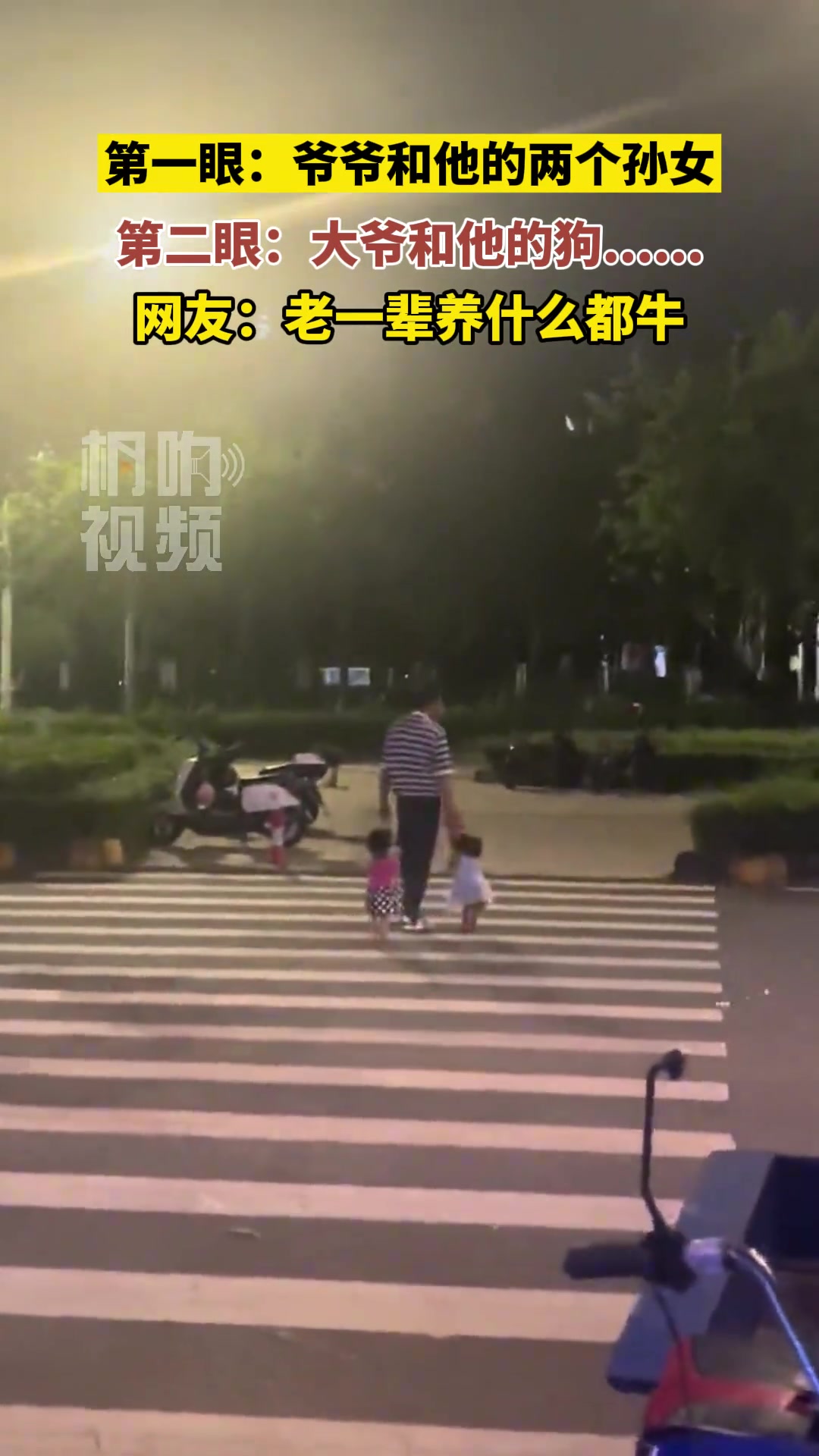 第一眼爷爷和他的两个孙女，第二眼大爷和他的两条狗