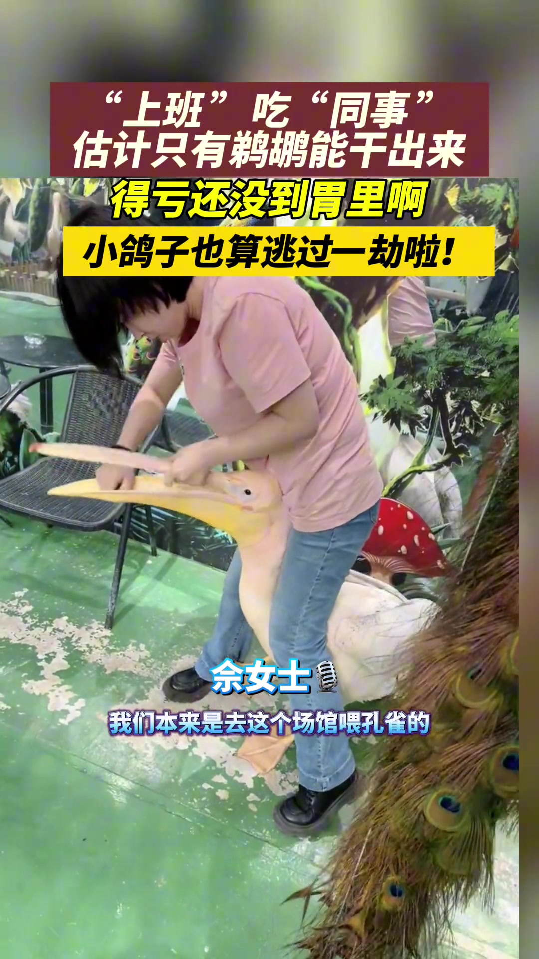 好险！鹈鹕上班期间险生吃“同事”！