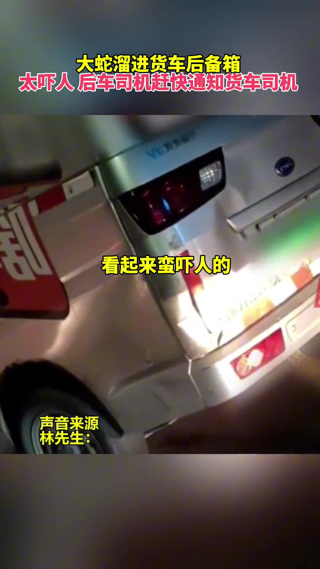 眼看蛇溜进货车后备箱 后车司机赶快通知货车司机