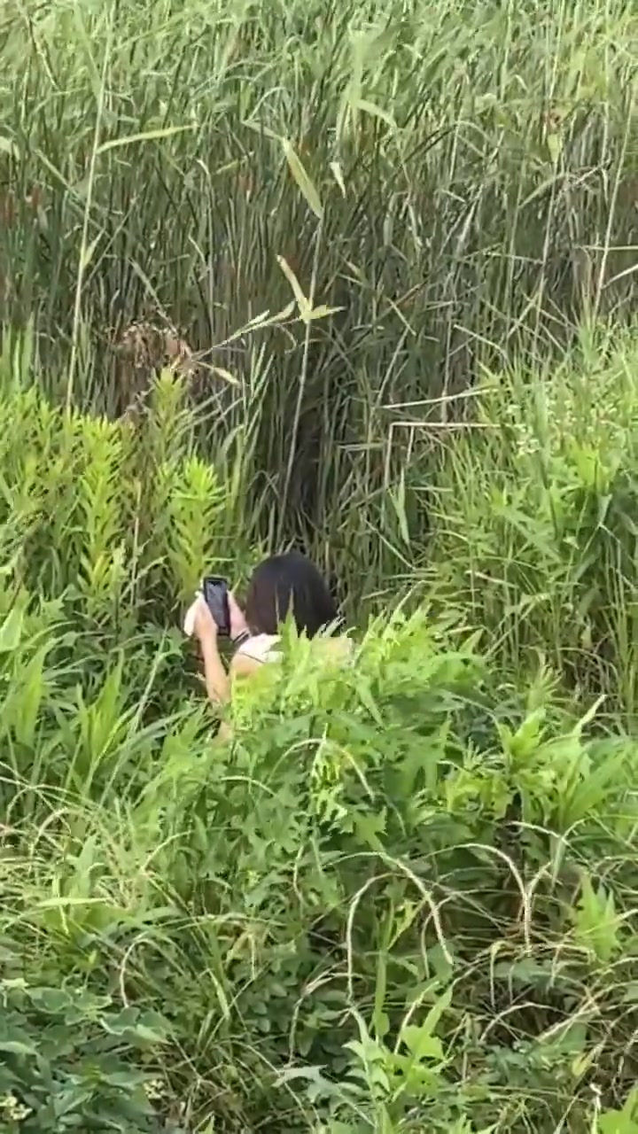 你是来拉屎的吧