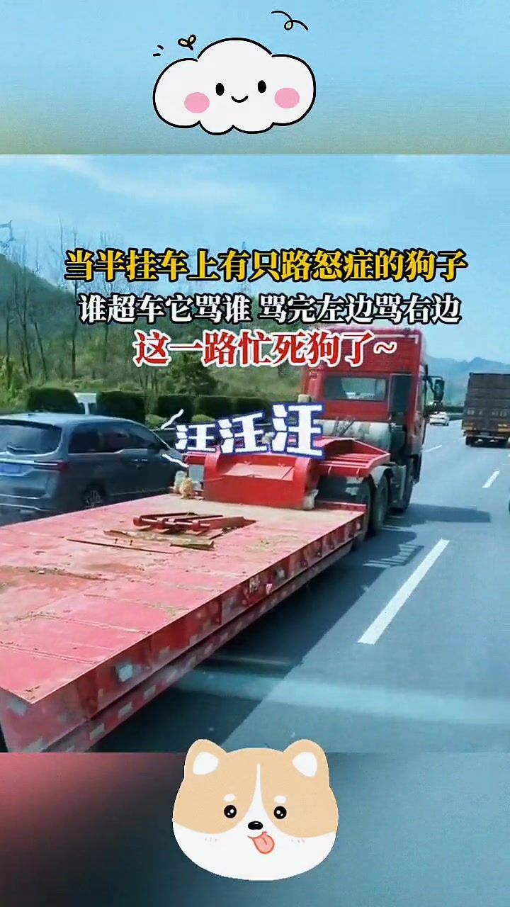 遇到一个路怒症狗狗是一种什么感觉？
