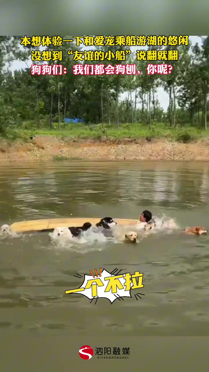 体验感十足的人仰狗翻！