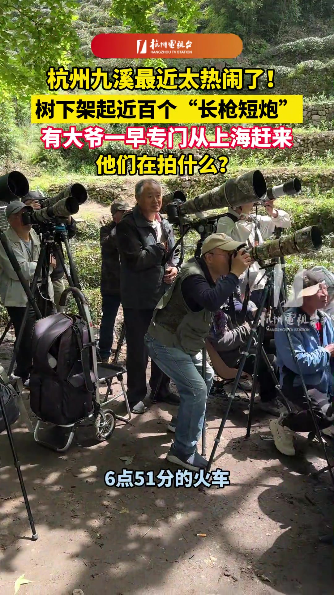 树下架起近百个“长枪短炮”，他们要干什么呀？