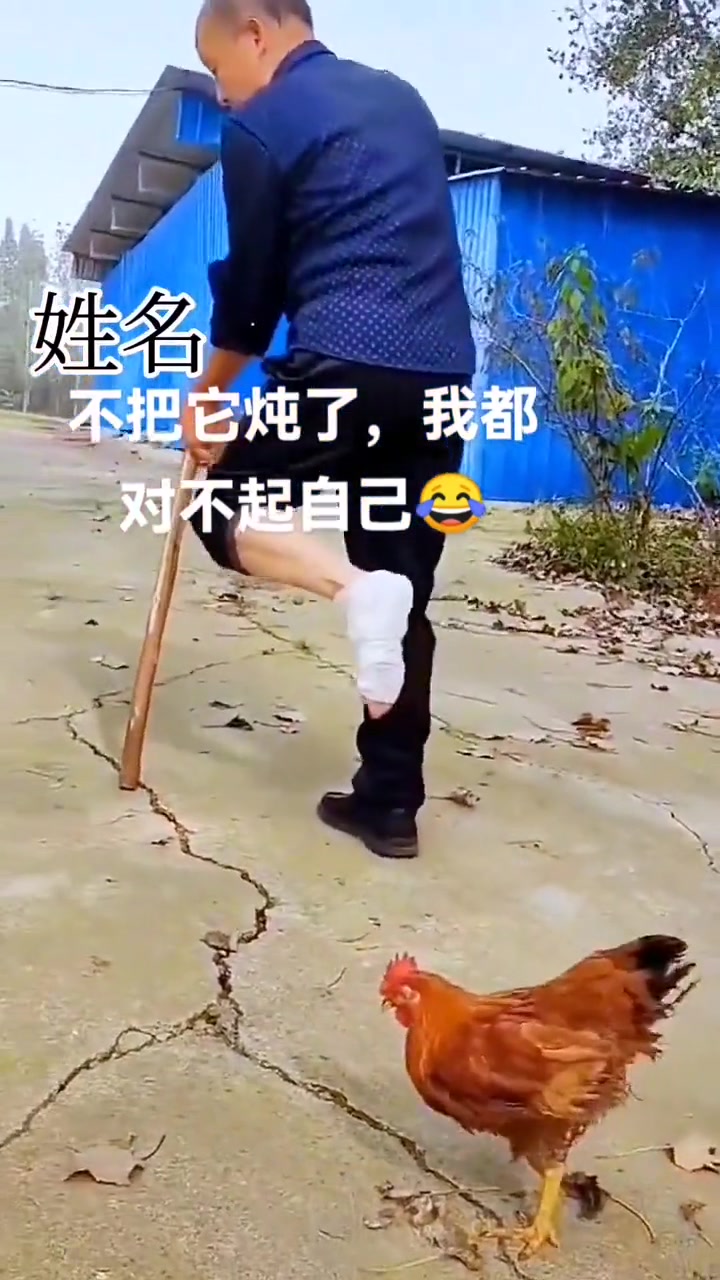 蒜了吧，姜它放茴大孜然吧，筷点吧今碗必须落实到胃