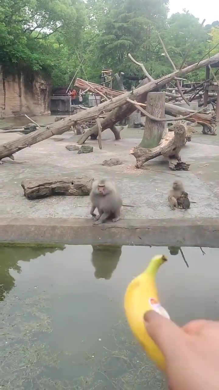 知道为什么这么胖了吧？