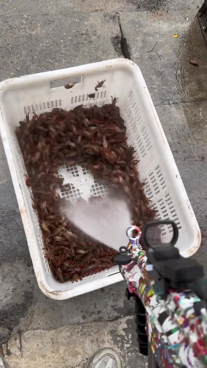 小龙虾好吃不好洗 ，这不挺好洗吗？