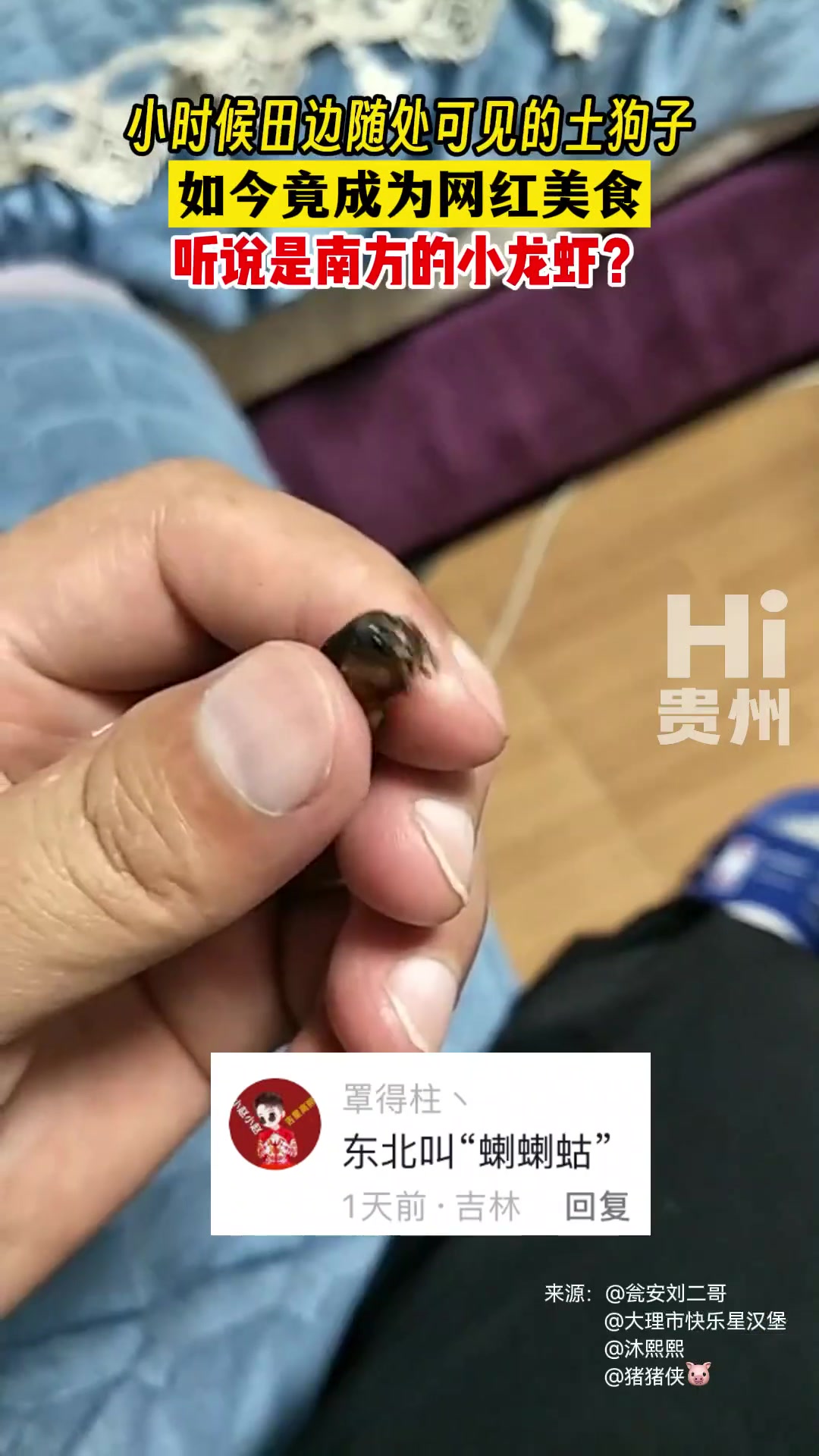 小时候田边随处可见的土狗子 如今竟成为网红美食