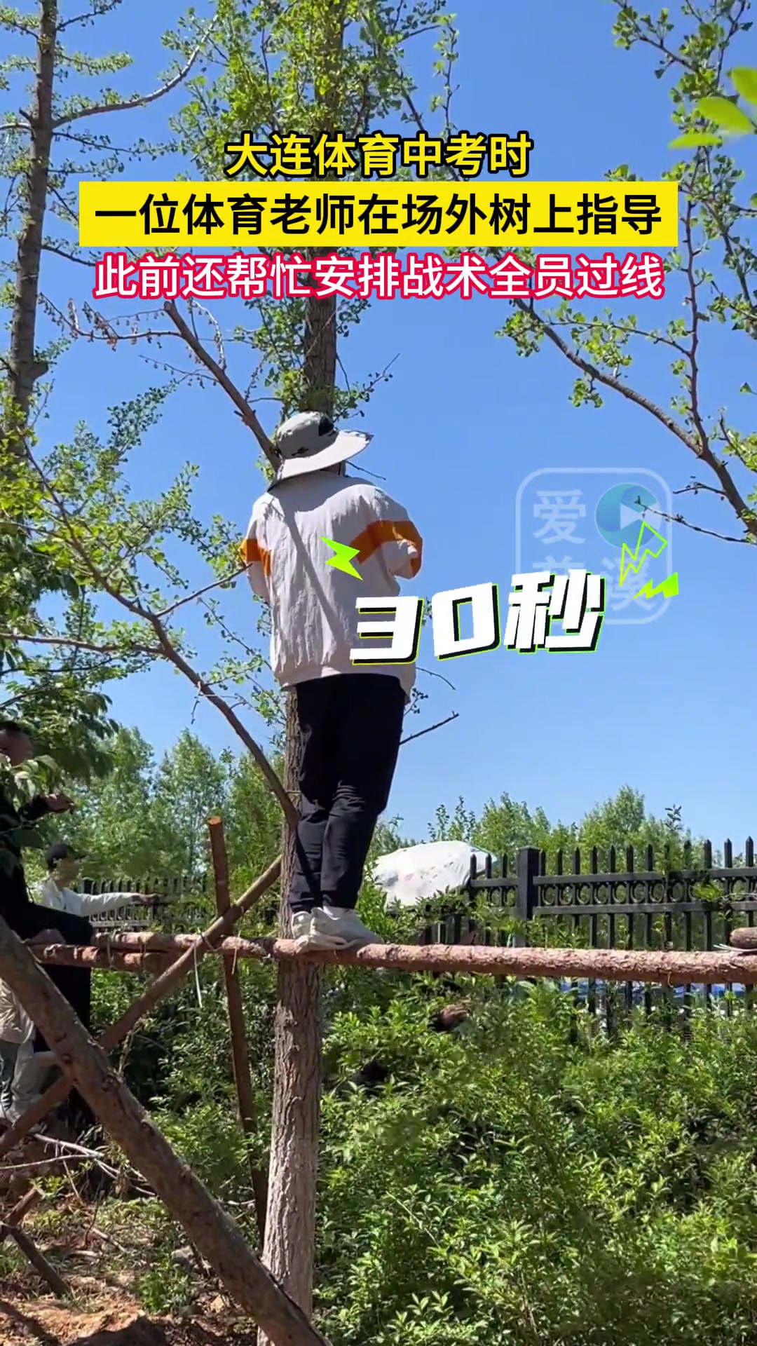 体育老师站在树上指导
