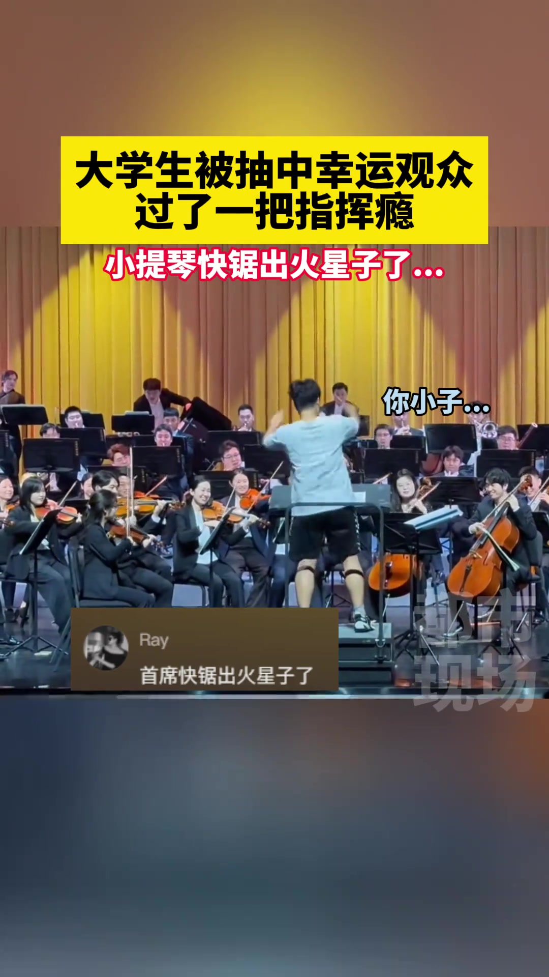 小时候一直以为指挥都是瞎划拉