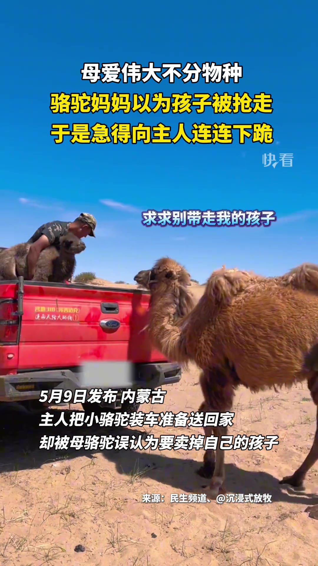 母爱都是一样的