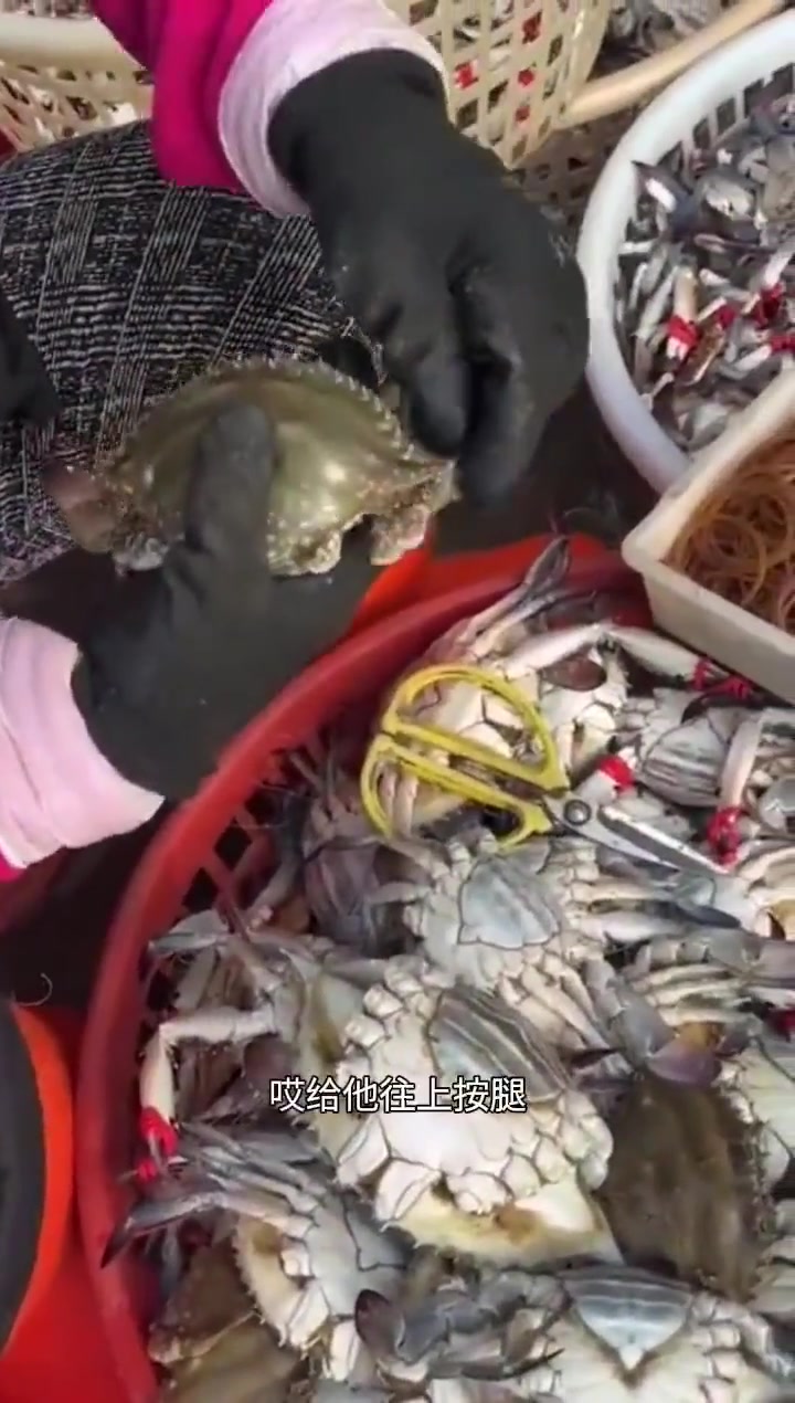 见过组装电脑，现在螃蟹都要组装卖了