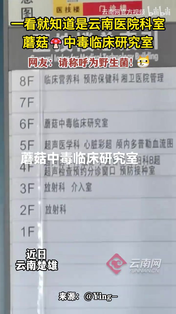 一看就知道是云南医院科室，每个省份都有她的最强科目