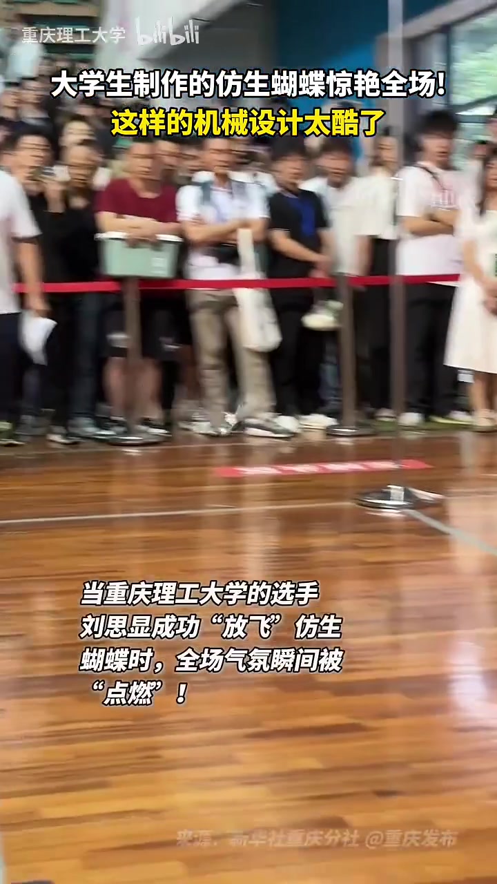 大学生制作的仿生蝴蝶惊艳全场