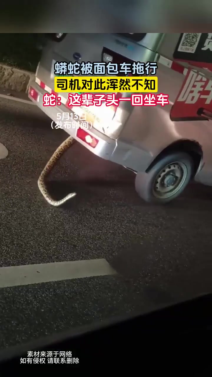 没有货拉拉，拉不了的东西？！！