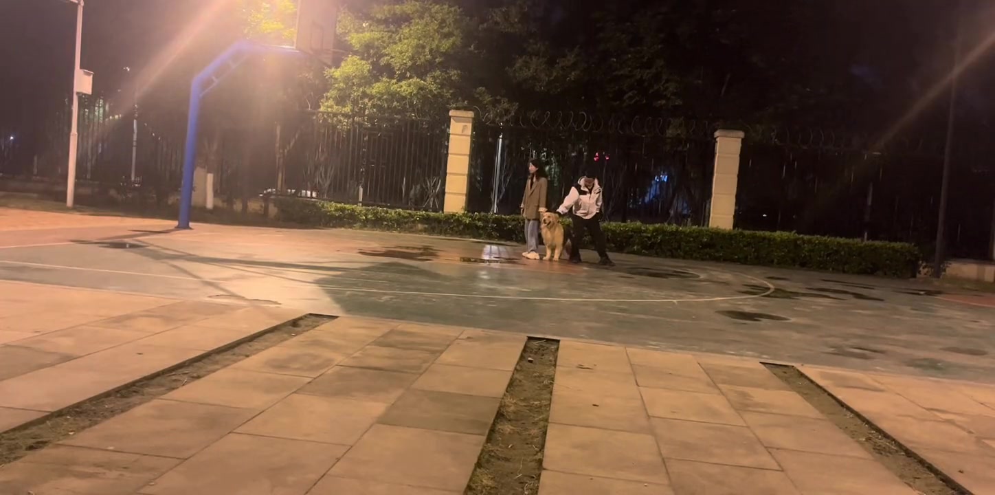 它连头都是一直偏向她的