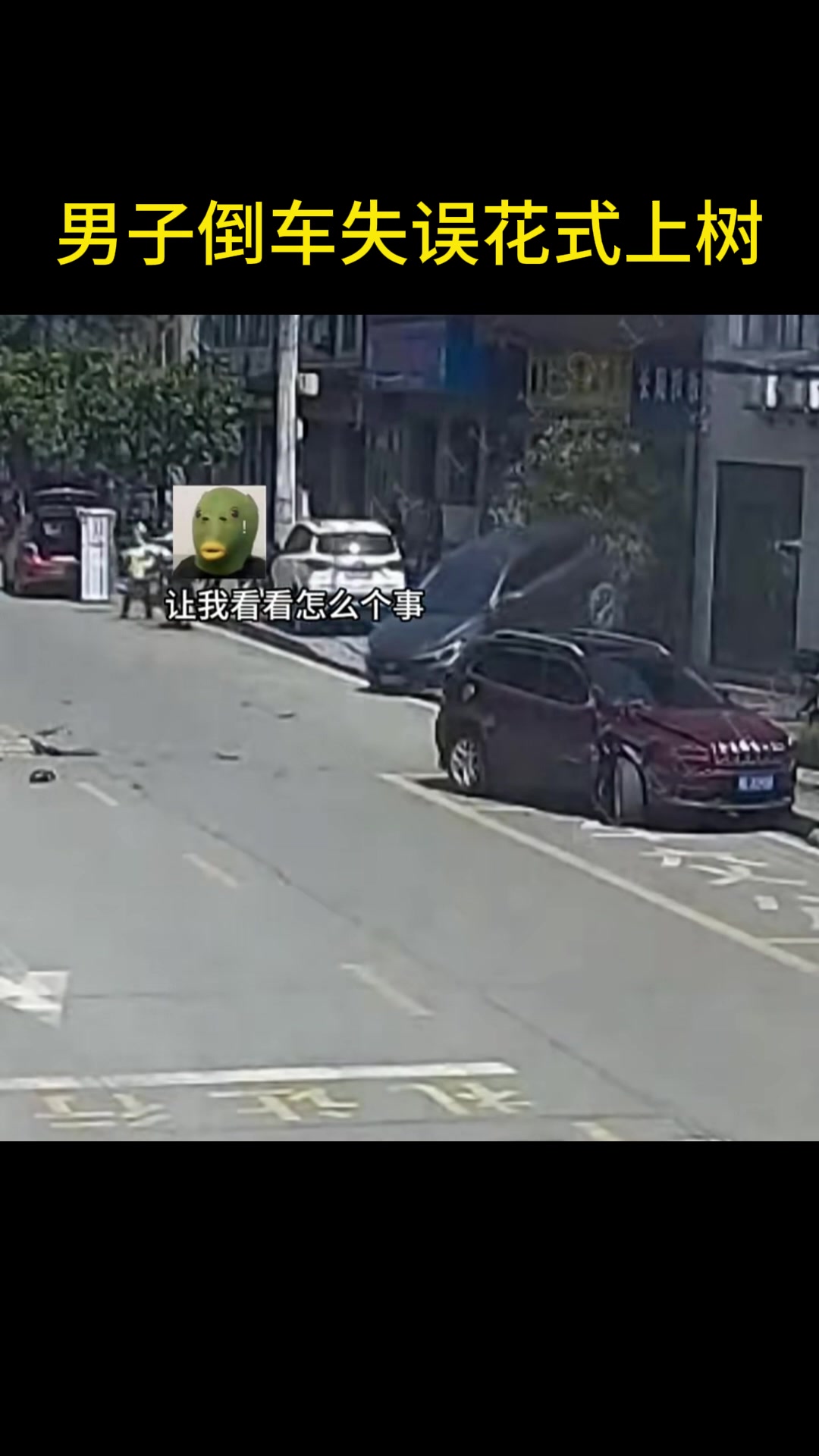 倒车会失误，母猪会上树！之前一直以为这是玩笑话
